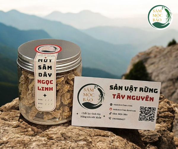 Sâm Mộc Bảo
